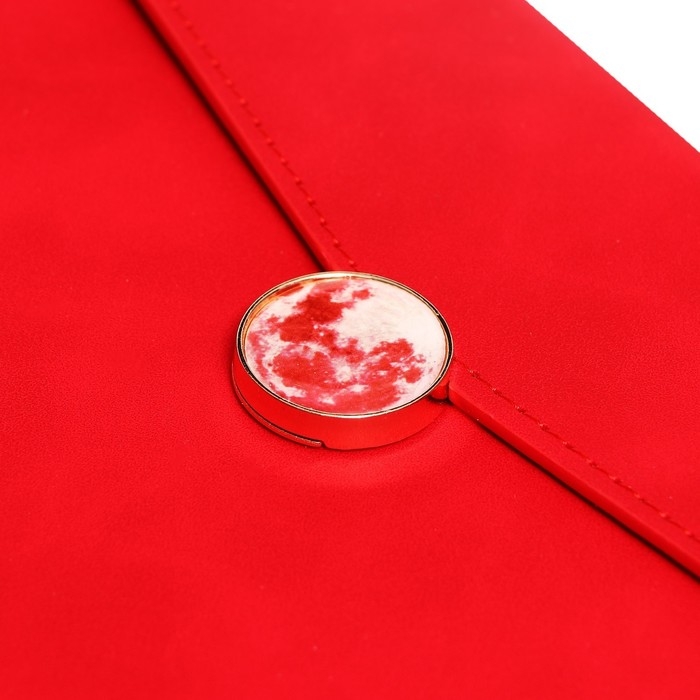 Органайзер на кольцах А6+, 80 листов, кожзам, c клапаном, линия, с ручкой, в подарочной коробке, красный Органайзер на кольцах А6+, 80 листов, кожзам, c клапаном, линия, с ручкой, в подарочной коробке, красный