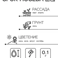 Семена Агератум "Розовый Шар", ц/п,  0,1 гр.