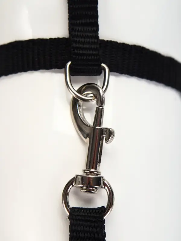 Комплект для кошек, ширина 1 см, ОШ 16.5-27 см, ОГ 21-35 см, поводок 120 см, чёрный