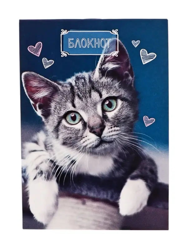 Блокнот А6, 24 листа в клетку на скрепке &laquo;Котята&raquo;, обложка мелованный картон, МИКС