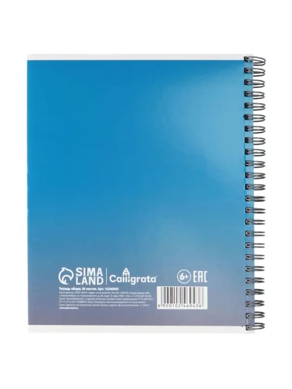 Компл тетр из 3шт 96л кл на гребне Эстетика, обл мел карт, глянц лам, офсет (10246943)