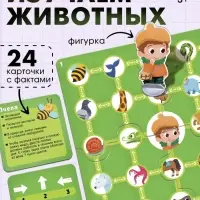 Развивающая игра &laquo;Пройди по стрелкам. Изучаем животных&raquo;, 24 карточки, 3+