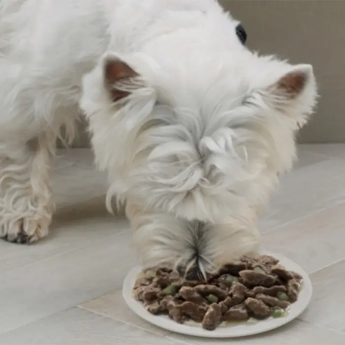 Влажный корм Cesar для собак, жаркое с уткой, пауч, 85 г Влажный корм Cesar для собак, жаркое с уткой, пауч, 85 г