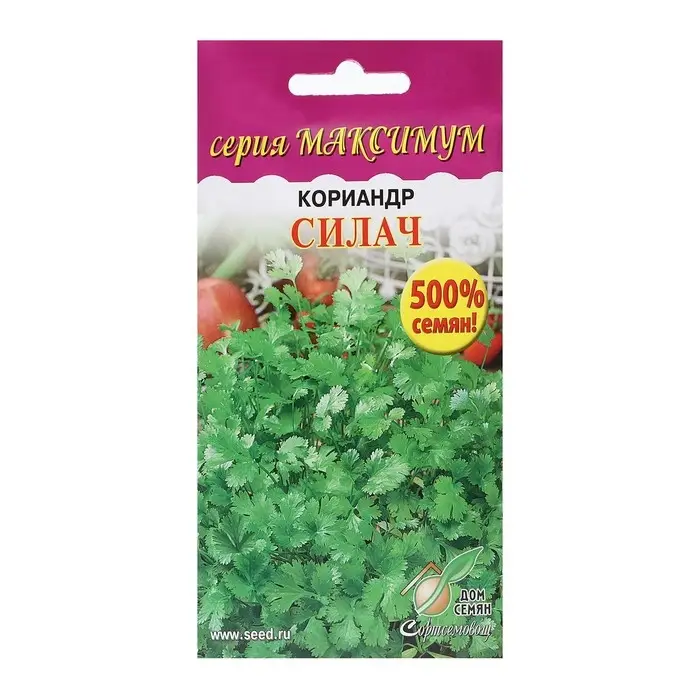 Семена Кориандр Семена Кориандр "Силач, 1100 шт