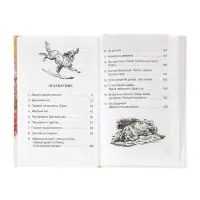 Книга детская для внеклассного чтения &laquo;Белый Бим Чёрное ухо&raquo;, Троепольский Г.Н.