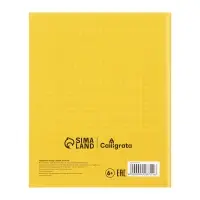 Тетради предметные Calligrata. MonoTone, 10 предметов, 36 листов, со справочным материалом, серые листы, обложка из мелованной бумаги