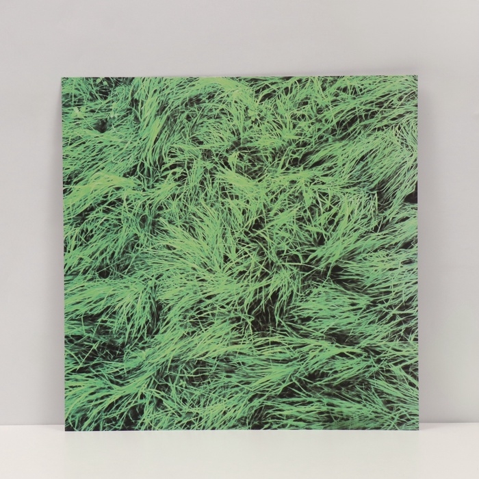 Фотофон двусторонний картон плотность 350 гр Фотофон двусторонний картон плотность 350 гр "Сено и трава" 50х50 см