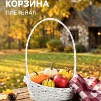 Корзина плетёная для хранения, из лозы, 39&times;29&times;49 см, с ручкой, белая, Greengo