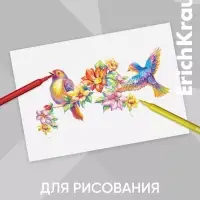 Фломастеры 12 цветов ErichKrause light, в футляре с европодвесом
