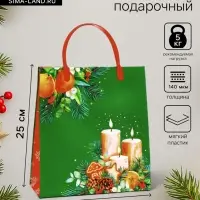 Пакет подарочный мягкий пластик &laquo;Игрушки&raquo; 140 мкм Сумка 25&times;24&times;8 см