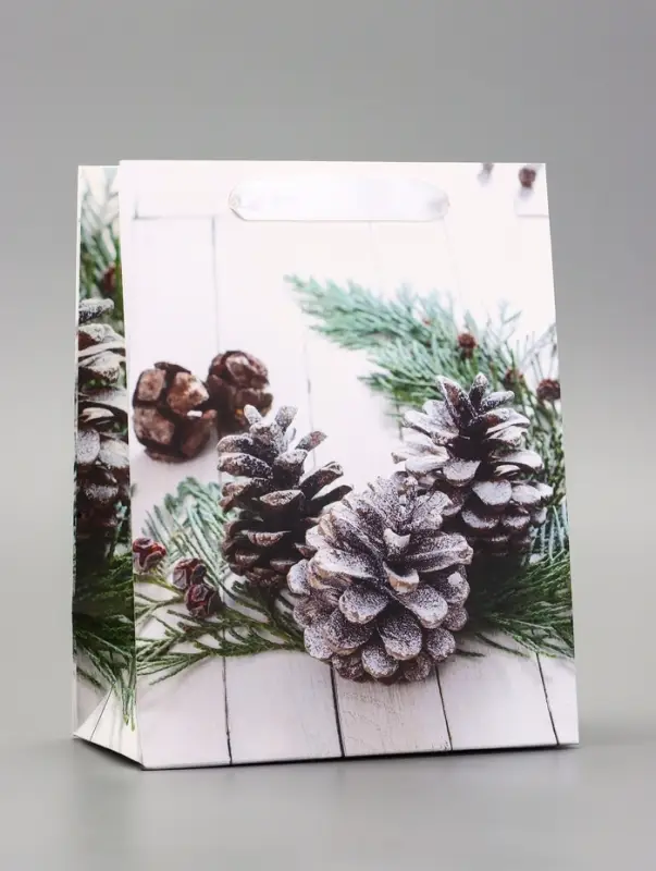 Пакет подарочный ламинированный Пакет подарочный ламинированный "Зимняя пора" 18 х 23 х 10 см