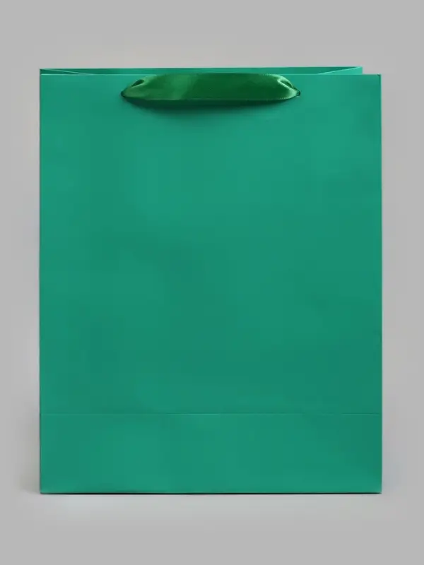 Пакет подарочный ламинированный &laquo;Зелёный&raquo;, 26&times;32&times;12 см