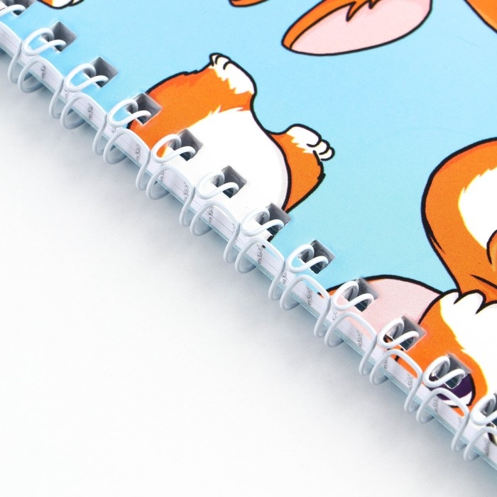 Блокнот А5, 40 л. Обложка картон. Блокнот А5, 40 л. Обложка картон. "Корги"