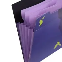 Папка А4 Flower Art, 5 отделений, 600 мкм, на кнопке, с рисунком