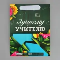 Пакет подарочный ламинированный, упаковка, «Лучшему Учителю», MS 18 х 23 х 10 см