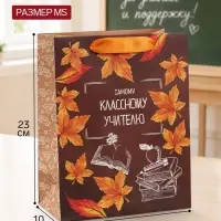 Пакет подарочный ламинированный, упаковка, &laquo;Классному учителю&raquo;, MS 18&times;23&times;10 см