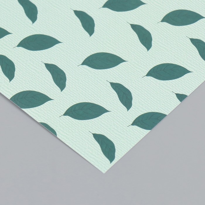 Бумага для скрапбукинга Бумага для скрапбукинга "Листья авокадо" плотность 180 гр набор 10 шт 15,5х17 см