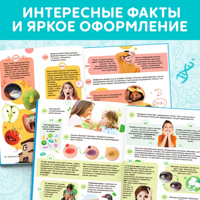 Энциклопедия в твёрдом переплёте «200 фактов о теле человека», 48 стр. Энциклопедия в твёрдом переплёте «200 фактов о теле человека», 48 стр.