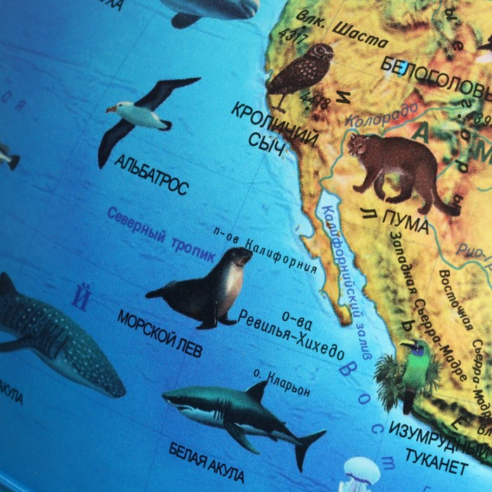 Интерактивный глобус зоогеографический с подсветкой 250мм INT12500306 Интерактивный глобус зоогеографический с подсветкой 250мм INT12500306