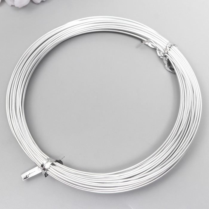 Проволока для творчества d 1мм, серебро рул.10 м Проволока для творчества d 1мм, серебро рул.10 м