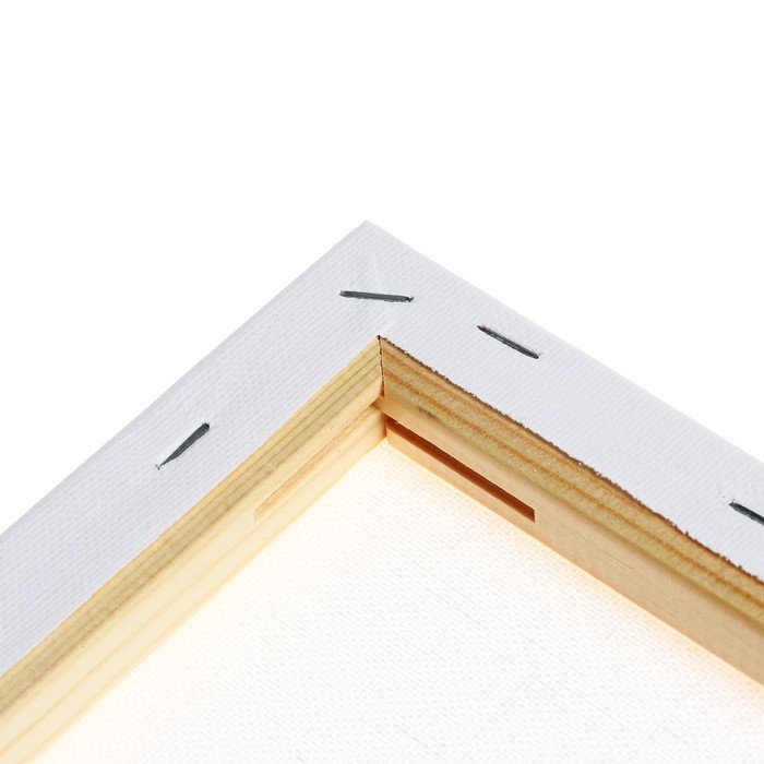 Холст на подрамнике 1,6х50х60 см, Calligrata, хлопок 100%, акриловый грунт, мелкозернистый, 280г/м² Холст на подрамнике 1,6х50х60 см, Calligrata, хлопок 100%, акриловый грунт, мелкозернистый, 280г/м²