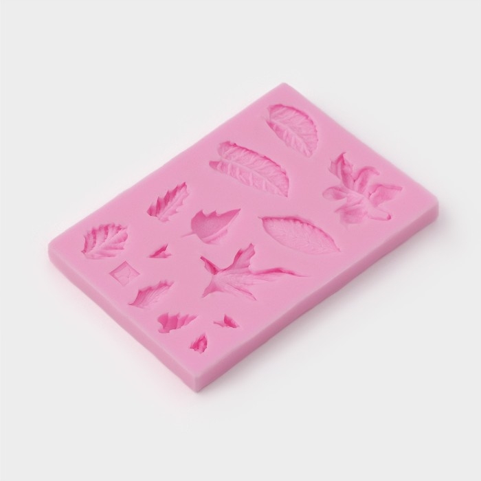 Молд Доляна «Гербарий», силикон, 8×5×0,8 см, цвет МИКС Молд Доляна «Гербарий», силикон, 8×5×0,8 см, цвет МИКС