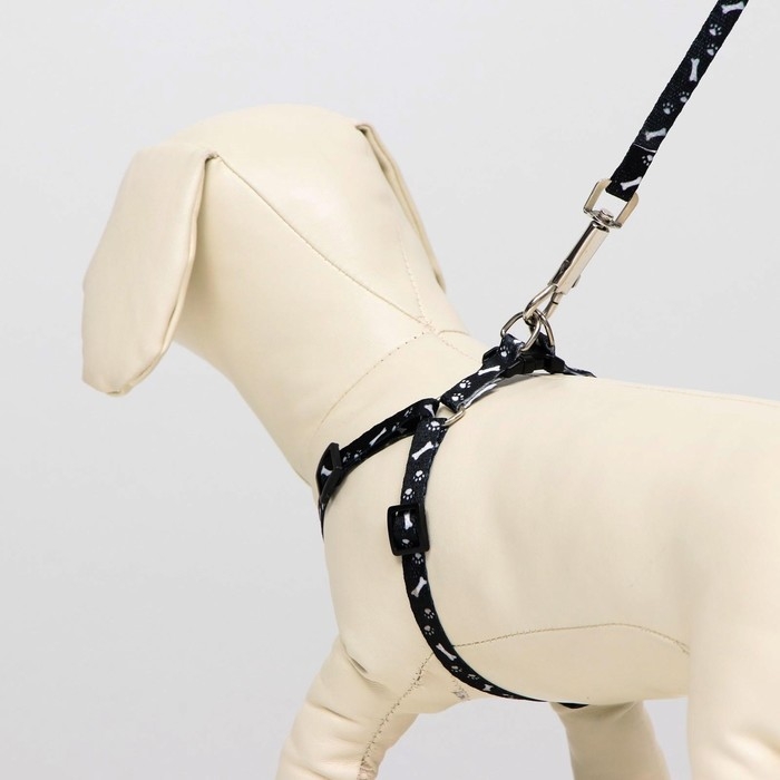 Комплект  Комплект "Классика", капрон, ширина 1 см, шлейка 28-47 см, поводок 120 см, чёрный