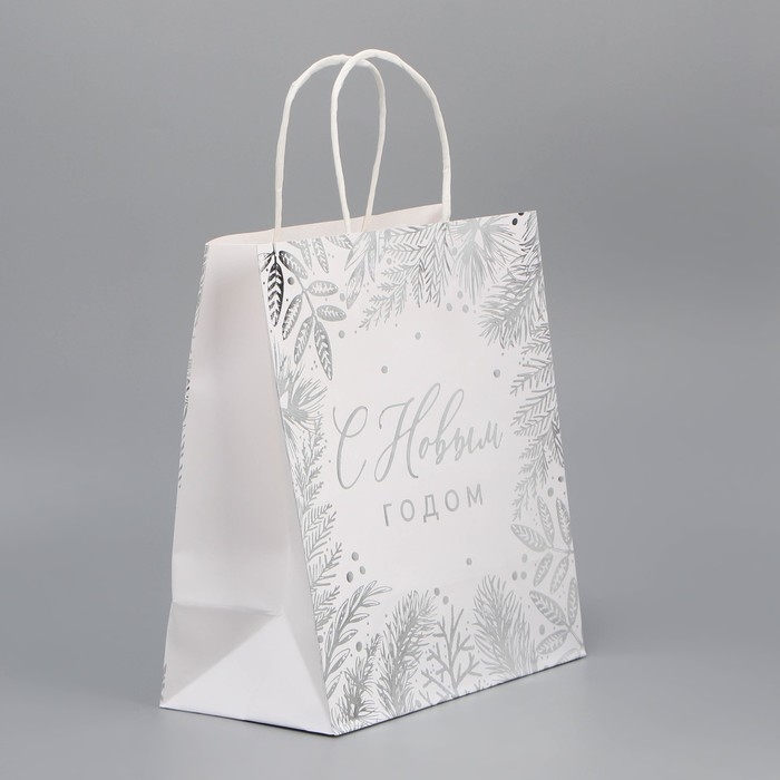 Пакет подарочный новогодний крафтовый «Серебро», 22 х 25 х 12 см, Новый год Пакет подарочный новогодний крафтовый «Серебро», 22 х 25 х 12 см, Новый год
