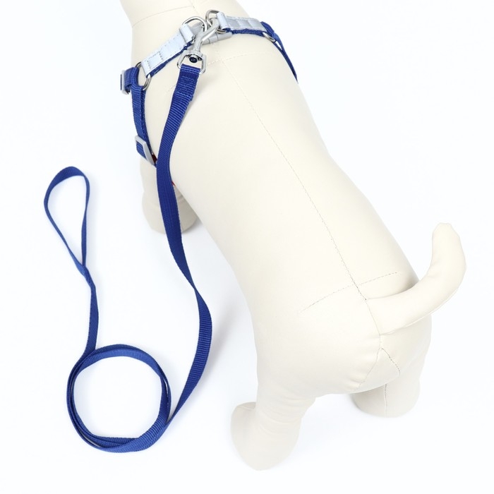 Комплект Sport+, S, поводок 150 x 1,5 см, ОШ 39-41 см, ОГ 44-48 см, вес животного 7-13 кг, синий 96 Комплект Sport+, S, поводок 150 x 1,5 см, ОШ 39-41 см, ОГ 44-48 см, вес животного 7-13 кг, синий 96