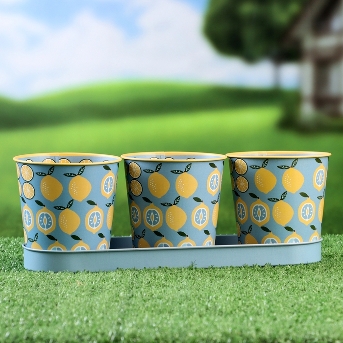 Набор кашпо на подставке  Набор кашпо на подставке "Ведерко" лимоны, 29х10х10см