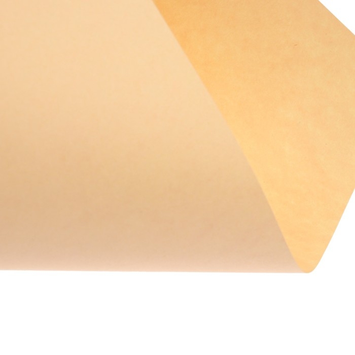 Бумага цветная А4 250л Calligrata Пастель + интенсив МИКС 10цв 80г/м2, АМБАЛАЖ Бумага цветная А4 250л Calligrata Пастель + интенсив МИКС 10цв 80г/м2, АМБАЛАЖ