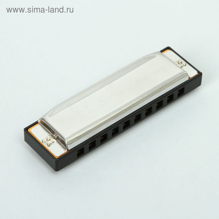 Губная гармошка Swan SW1020-9 диатоническая Губная гармошка Swan SW1020-9 диатоническая