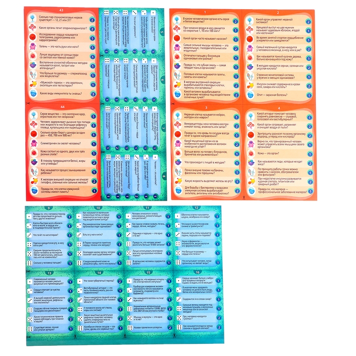 Настольная игра «Викторина. Как устроен человек?», 7-12 лет