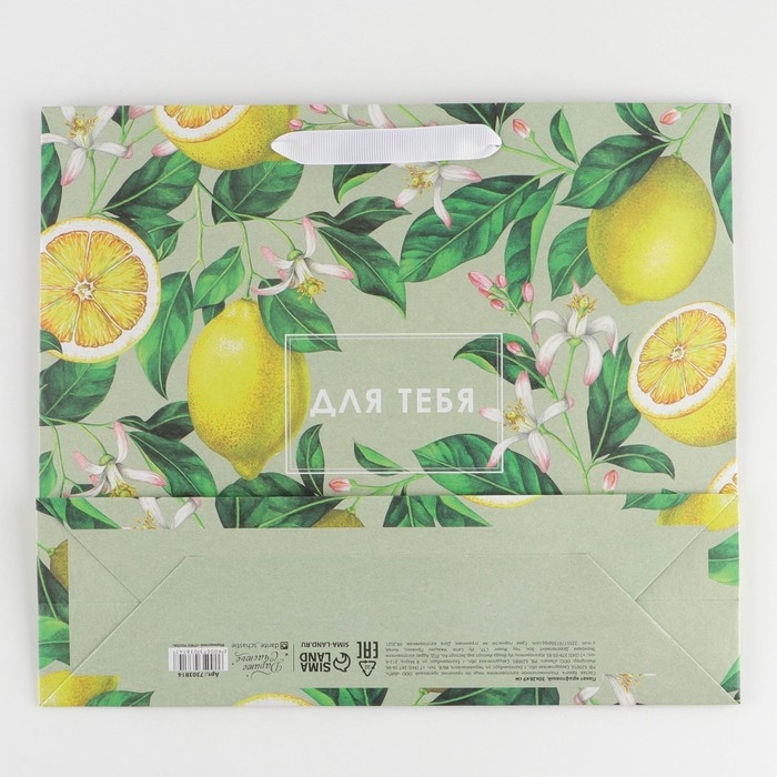 Пакет подарочный крафтовый горизонтальный, упаковка, «Лимончики», M 30 х 26 х 9 см