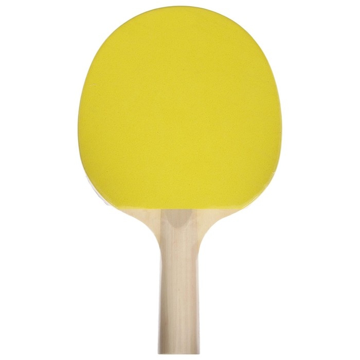 Ракетка для настольного тенниса BOSHIKA Training, 1 звезда Ракетка для настольного тенниса BOSHIKA Training, 1 звезда