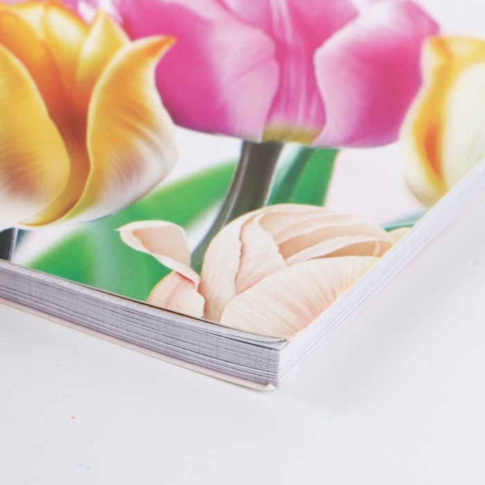 Планер с отрывными листами, 50 л. 17 х 9см  Планер с отрывными листами, 50 л. 17 х 9см "8 Марта"