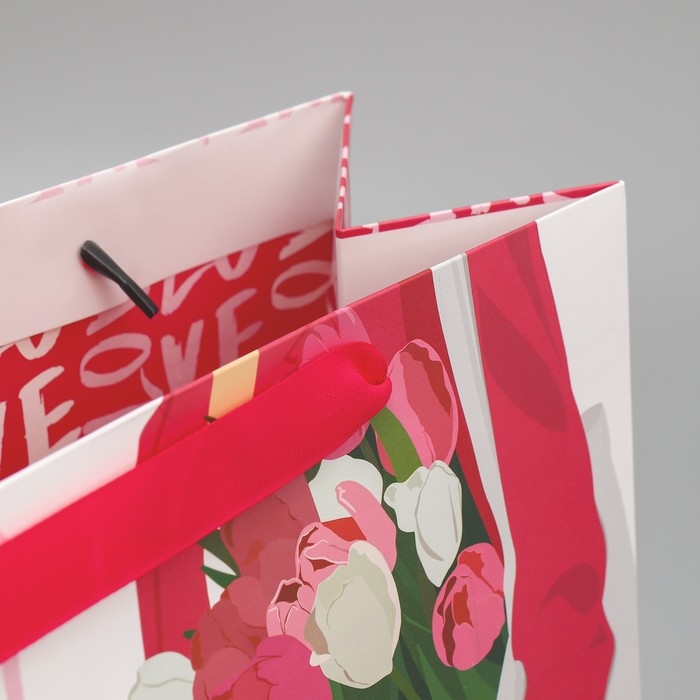 Пакет подарочный ламинированный двухсторонний, упаковка, «Стиль», ML 23 х 27 х 11,5 см