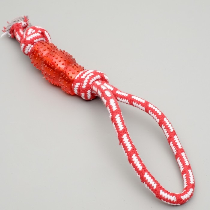 Игрушка канатная Игрушка канатная "Узел с леденцом", до 37 см, до 90 г, микс цветов
