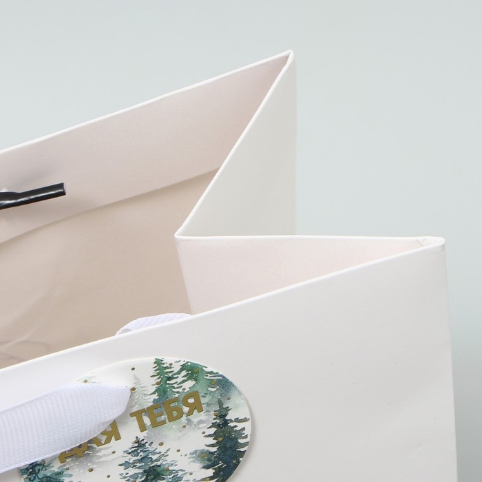 Пакет подарочный новогодний ламинированный вертикальный, конгревное тиснение «С Новым годом», ML 23 х 27 х 11.5 см, Новый год Пакет подарочный новогодний ламинированный вертикальный, конгревное тиснение «С Новым годом», ML 23 х 27 х 11.5 см, Новый год