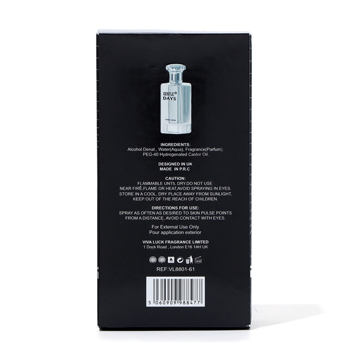 Туалетная вода мужская Gentle Days, 100 мл Туалетная вода мужская Gentle Days, 100 мл