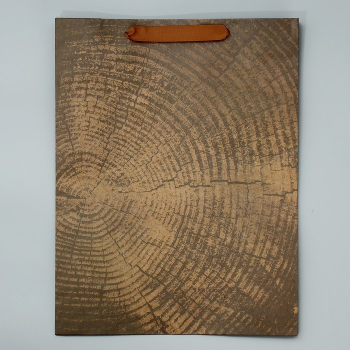 Пакет подарочный крафтовый вертикальный, упаковка, «Нереальных высот», L 31 х 40 х 9 см Пакет подарочный крафтовый вертикальный, упаковка, «Нереальных высот», L 31 х 40 х 9 см