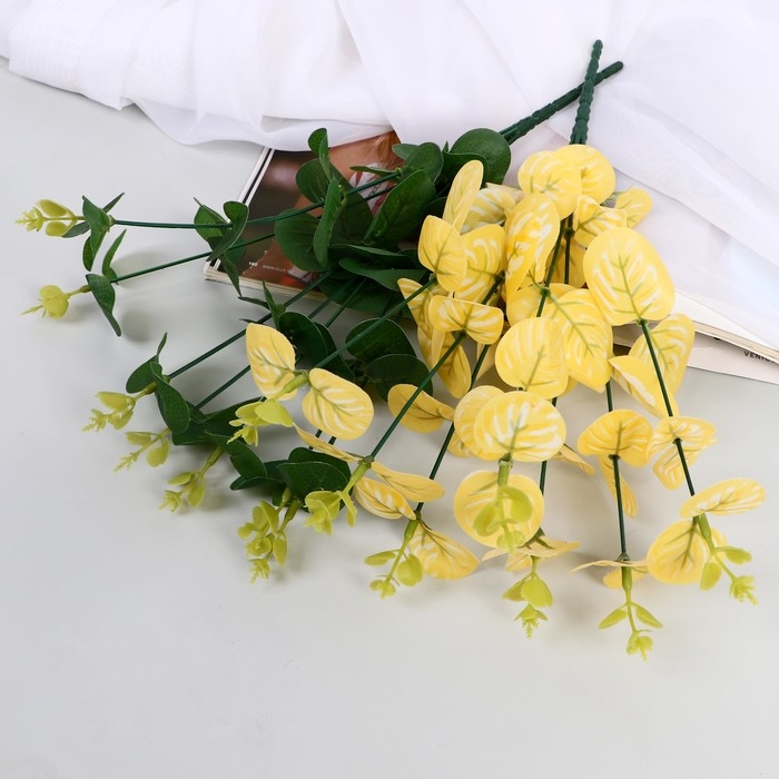 Букет Букет "Кассия декоративная" 29 см, микс