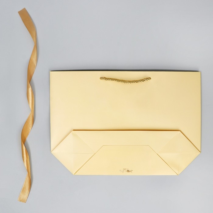 Пакет подарочный новогодний «Lucky present», 26 х 25 х 11 см, Новый год Пакет подарочный новогодний «Lucky present», 26 х 25 х 11 см, Новый год