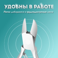 Кусачки педикюрные, прямое лезвие. 10,5 см, длина лезвия - 15 мм, на блистере, цвет серебристый