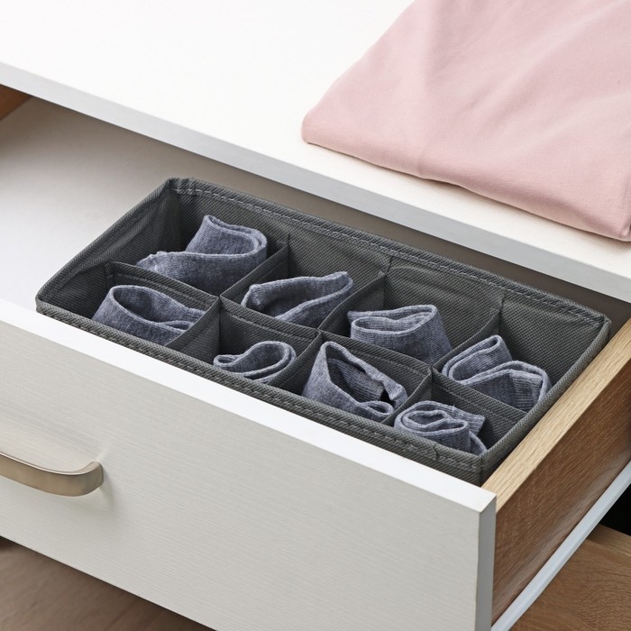 Органайзер для хранения белья Доляна «Смарт», 8 ячеек, 28,5×13,5×10 см, цвет серый Органайзер для хранения белья Доляна «Смарт», 8 ячеек, 28,5×13,5×10 см, цвет серый