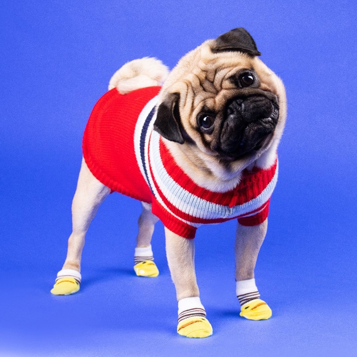 Свитер  Свитер "Полоски", S (ДС 23, ОШ 23, ОГ 26-45 см), красный