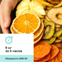 Сушилка для овощей и фруктов, дегидратор T-PFD42131