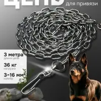 Цепь для привязи собак, 3 м, калибр 3&times;16 мм, черная