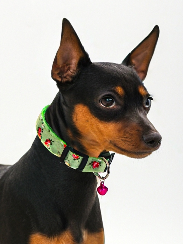 Ошейник Ошейник "Цветочный вайб", 40 х 1,5 см, зелёный