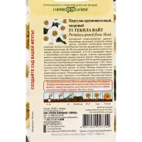 Семена цветов Портулак Текила Вайт F1* 5 шт  серия Элитная клумба